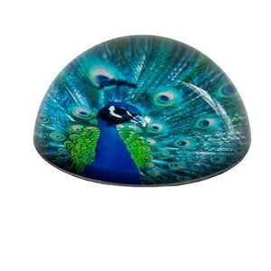 Peacock Art Glass Paperweight Vintage Desk Top Colorful Office Round Dome Bird